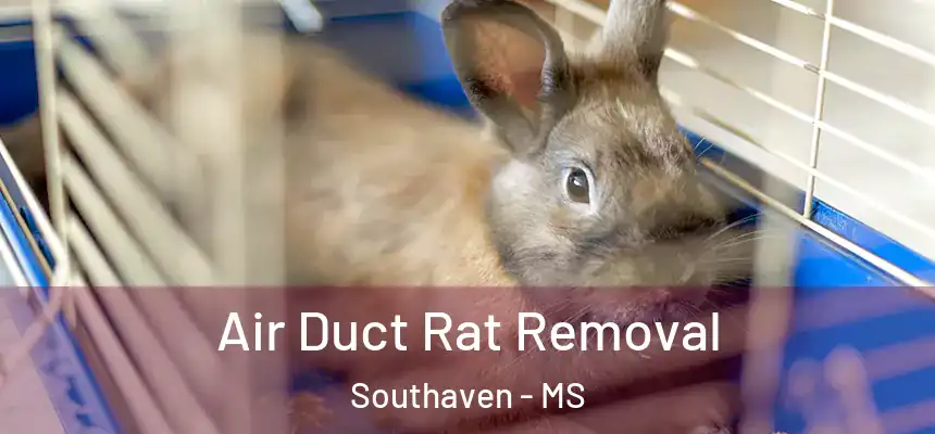  Air Duct Rat Removal Southaven - MS