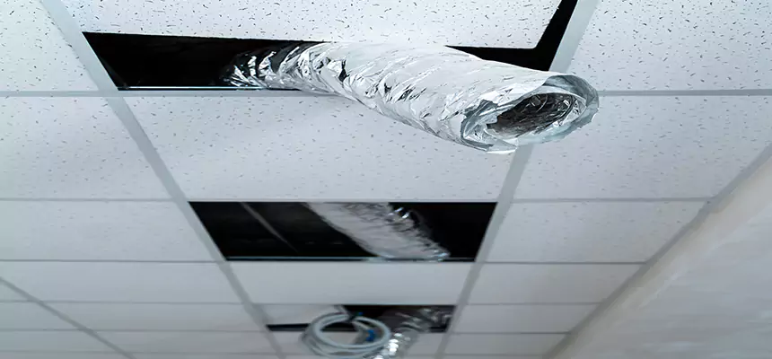 Affordable HVAC Sanitizing After Pest Removal in Southaven