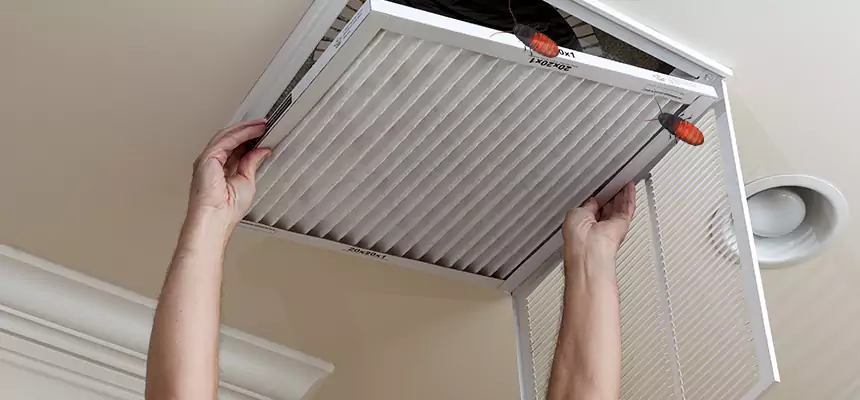 Our Insect Removal from Air Ducts Services in Southaven, MS