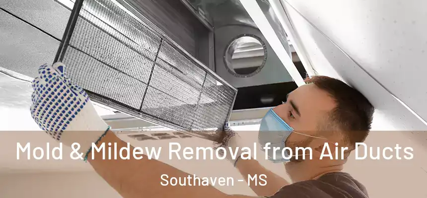  Mold & Mildew Removal from Air Ducts Southaven - MS