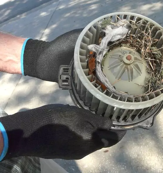 About Air Duct Mice Removal in Southaven, MS