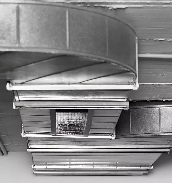 Professional Air Duct Pest Removal in Southaven, MS