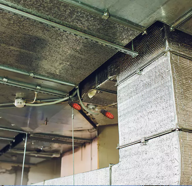 Why Homeowners & Businesses Trust Us Southaven, MS?