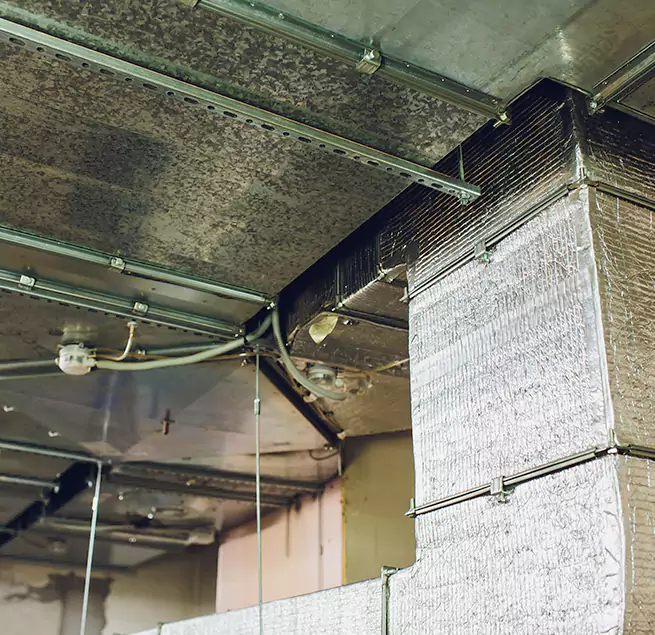 Why Homeowners & Businesses Trust Us in Southaven, MS?